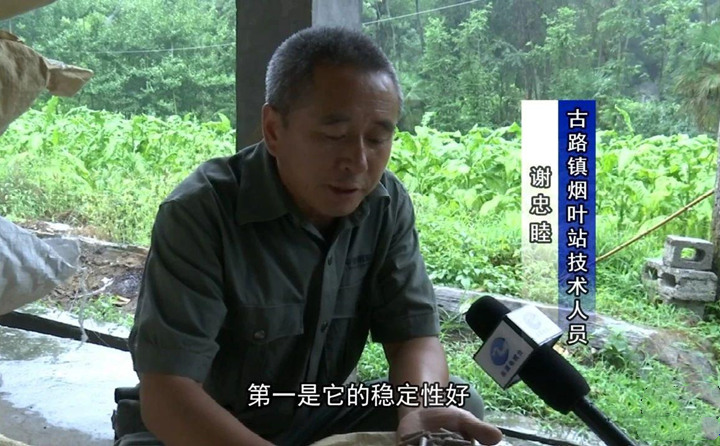 緊緊抓住木屑造粒機生物質(zhì)顆粒燃料加工場地建設項目落地的契機，找準結合點，推動共和綜合服務型煙農(nóng)專業(yè)合作社與生物質(zhì)顆粒燃料加工廠的緊密合作.jpg