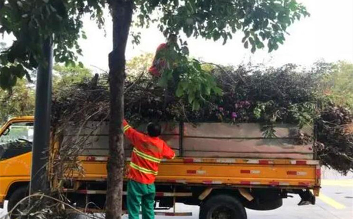 園林綠化廢棄物再利用，南京棲霞年處理量超3萬噸.jpg