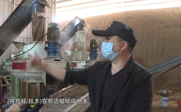 將桔桿、枯木在那邊破碎成粉末，然后經(jīng)過這兩個(gè)造粒機(jī)的碾壓，形成這種顆粒燃料出來，形成最后的產(chǎn)品.jpg